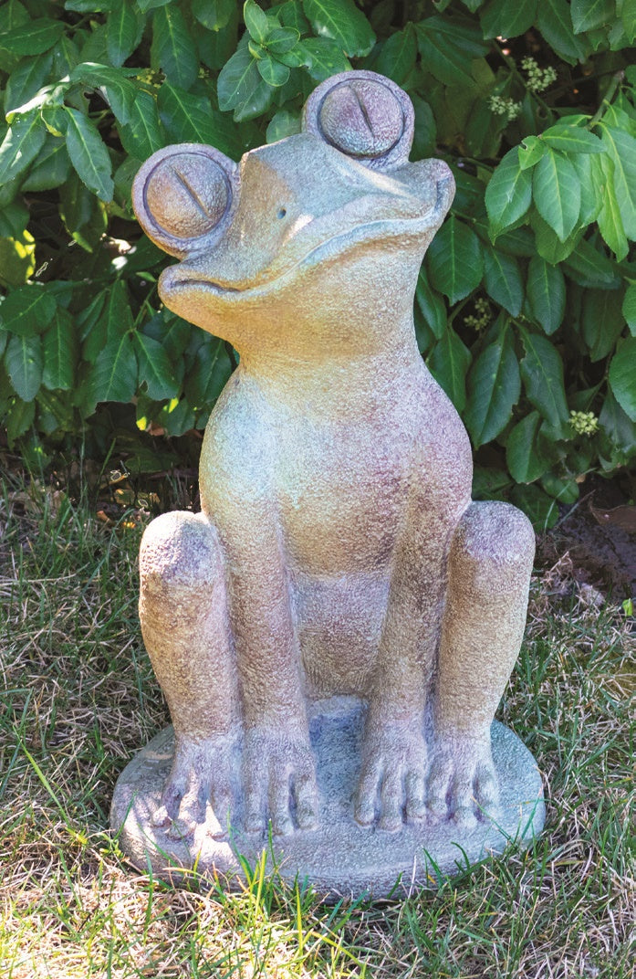 Googly-eyed Frog Statue – Southern Idaho Landscape Center