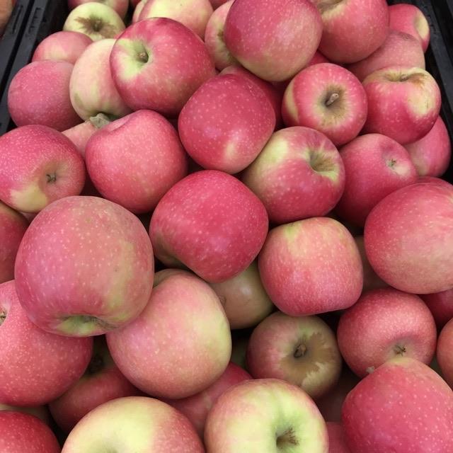 Pink Lady Apples - each