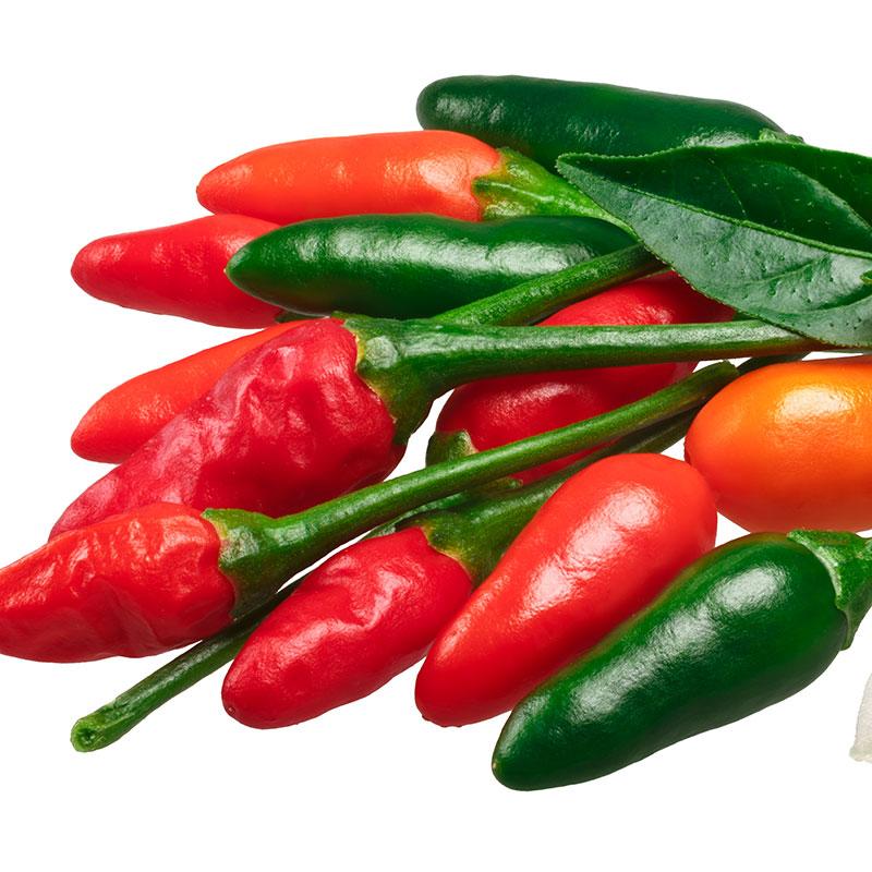 Pequin Chili Pepper (Garden Starter Plant) – Southern Idaho Landscape ...